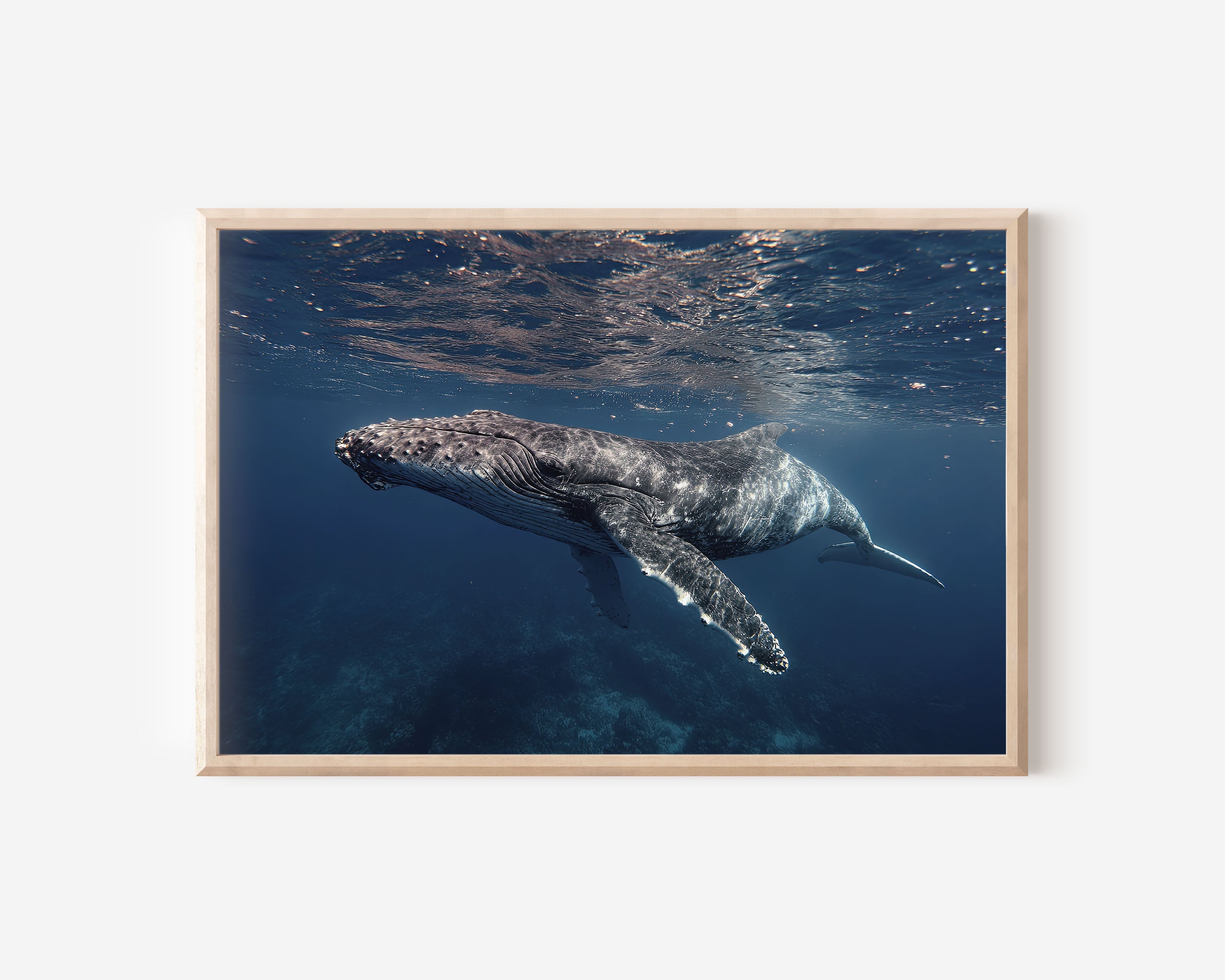Humpback Whale Wall Art – Underwater Ocean Print