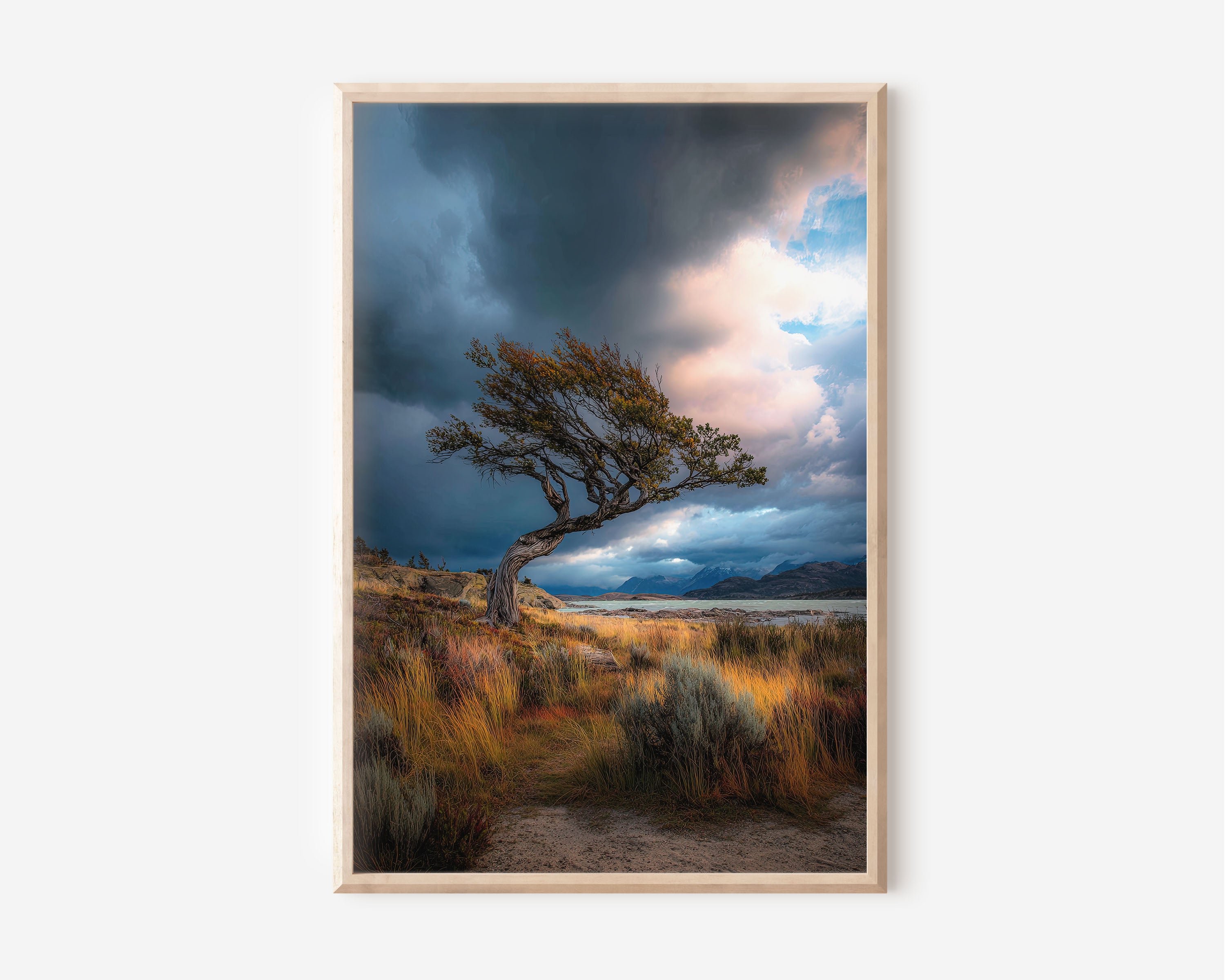 Torres del Paine Wind Bent Tree Print | Patagonia Chile Storm Wall Art | Patagonia Lone Tree Dramatic Sky Landscape Photography Poster