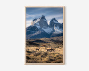 Torres del Paine Chile Wall Art – Patagonia Mountain Landscape Print