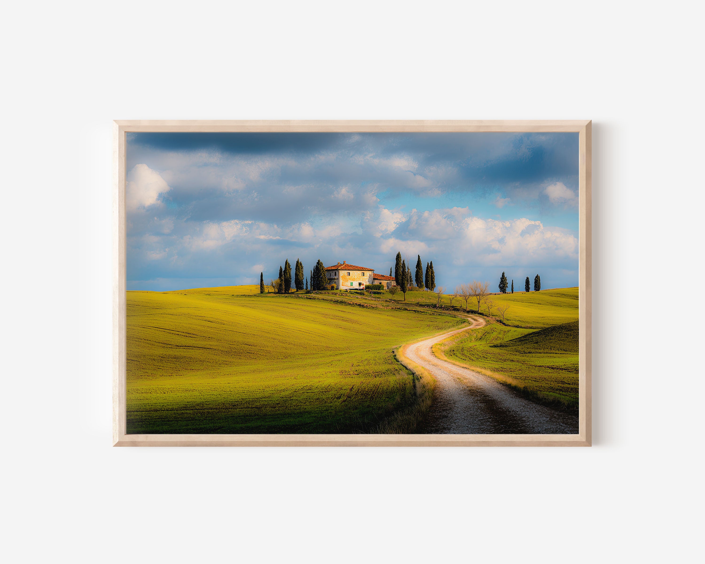 Tuscan Countryside Print – Cypress Trees Wall Art