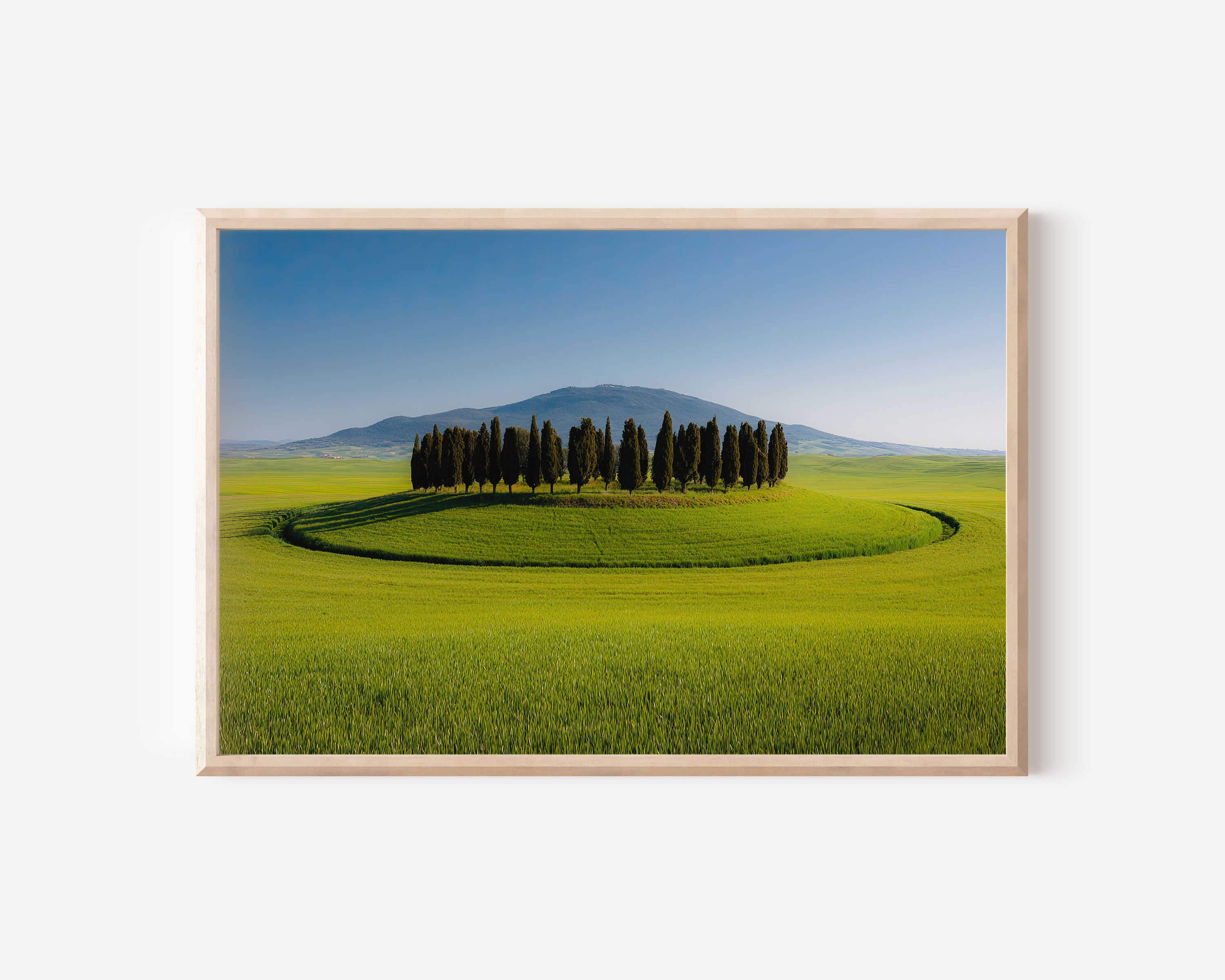Tuscany Cypress Trees Print | Val d'Orcia Italy Green Fields Photography Wall Art