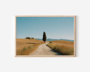 Tuscany Cypress Road Val d'Orcia Italy Wall Art Print, Scenic Italian Countryside Landscape