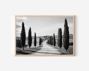 Tuscany Cypress Tree Road Italy Wall Art Print, Black and White Val d'Orcia Landscape
