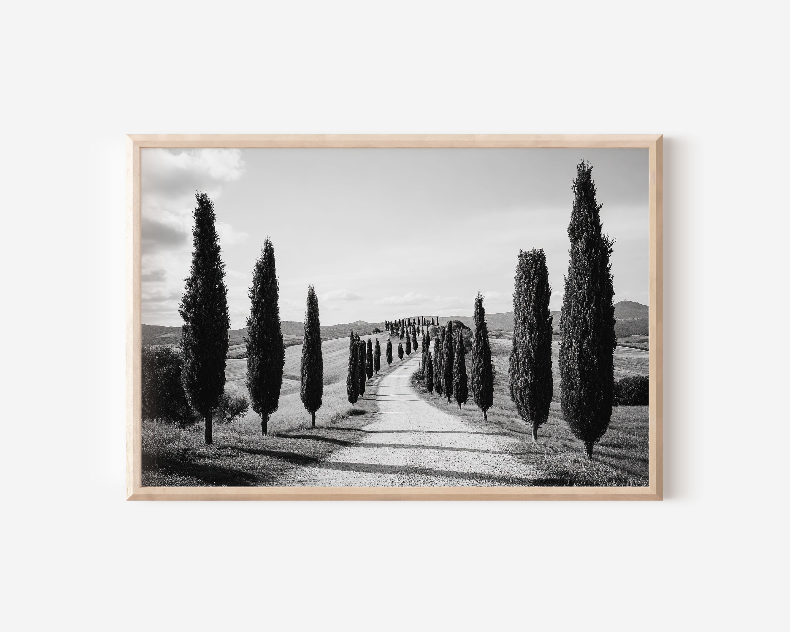 Tuscany Cypress Tree Road Italy Wall Art Print, Black and White Val d'Orcia Landscape