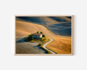 Tuscany Golden Wheat Fields Print – Rustic Italy Wall Art
