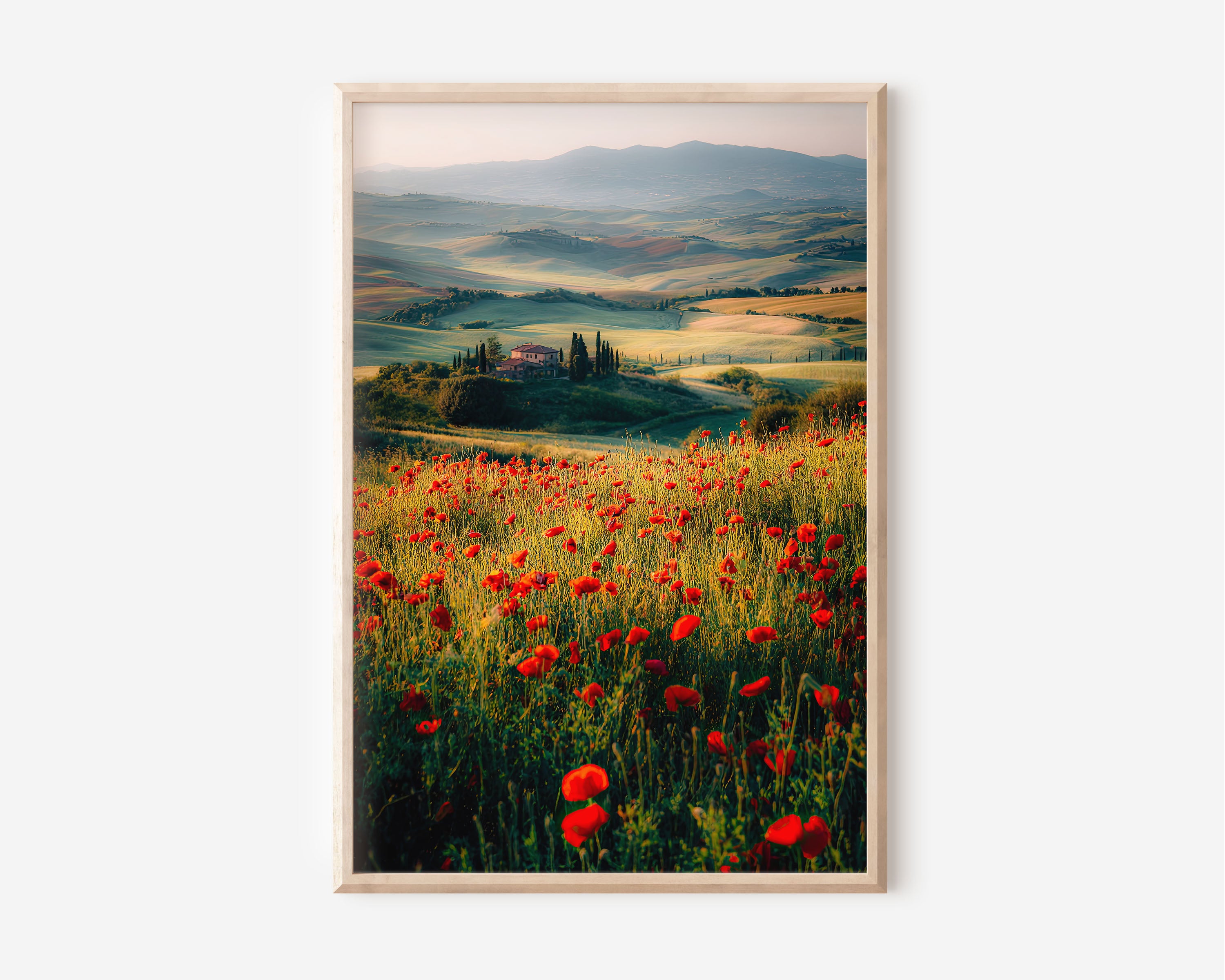 Tuscany Poppy Field Morning Wall Art Print | Val d'Orcia Italy Landscape Photography | Red Wildflower Countryside Poster