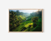 Ubud Rice Terraces Print – Bali Jungle Wall Art