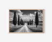 Val d'Orcia Tuscany Wall Art Print | Black and White Cypress Road Italy Photography