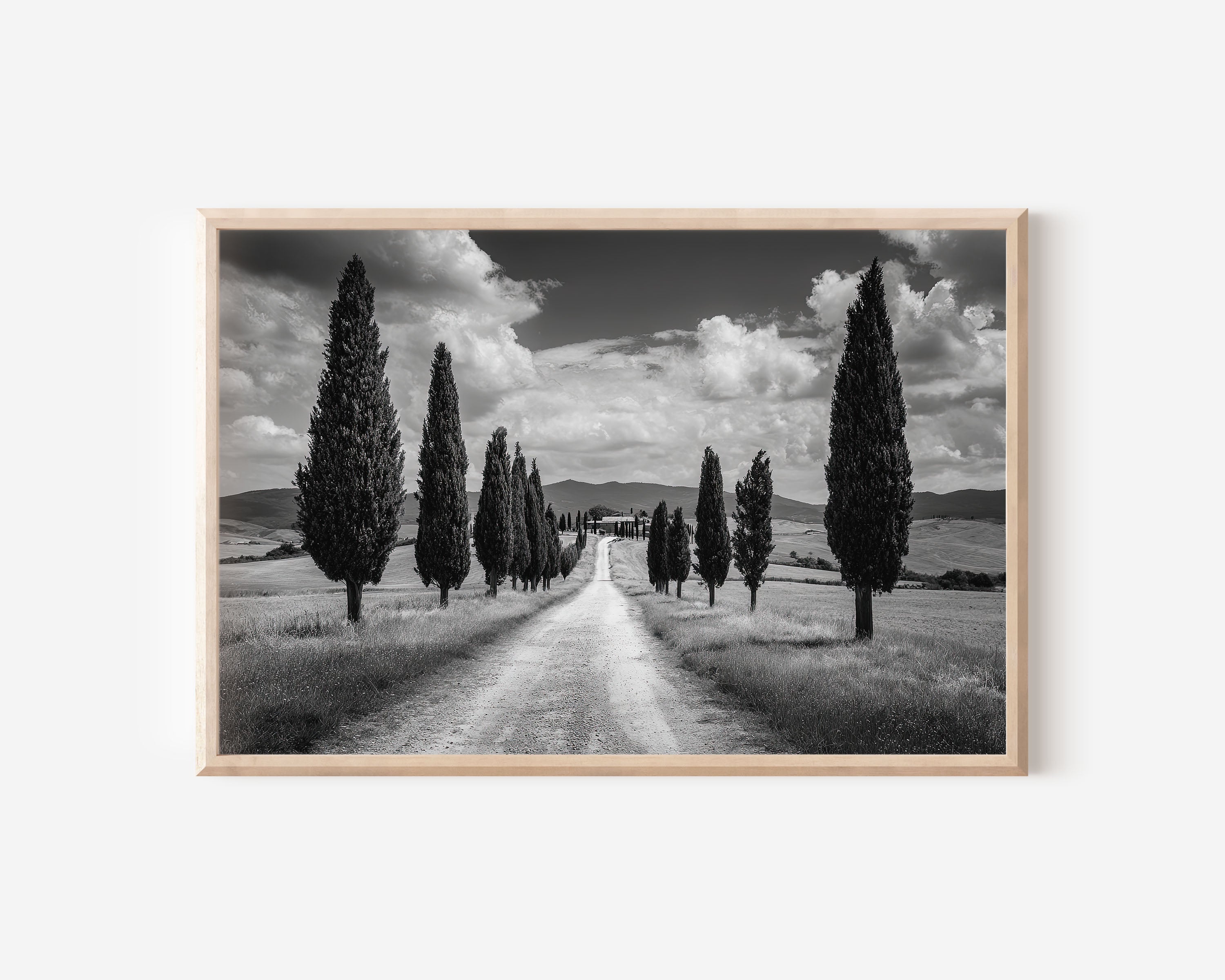 Val d'Orcia Tuscany Wall Art Print | Black and White Cypress Road Italy Photography