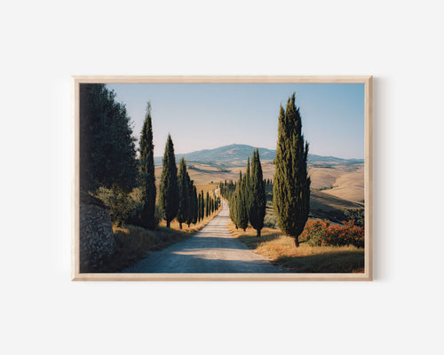 Val d’Orcia Cypress Road