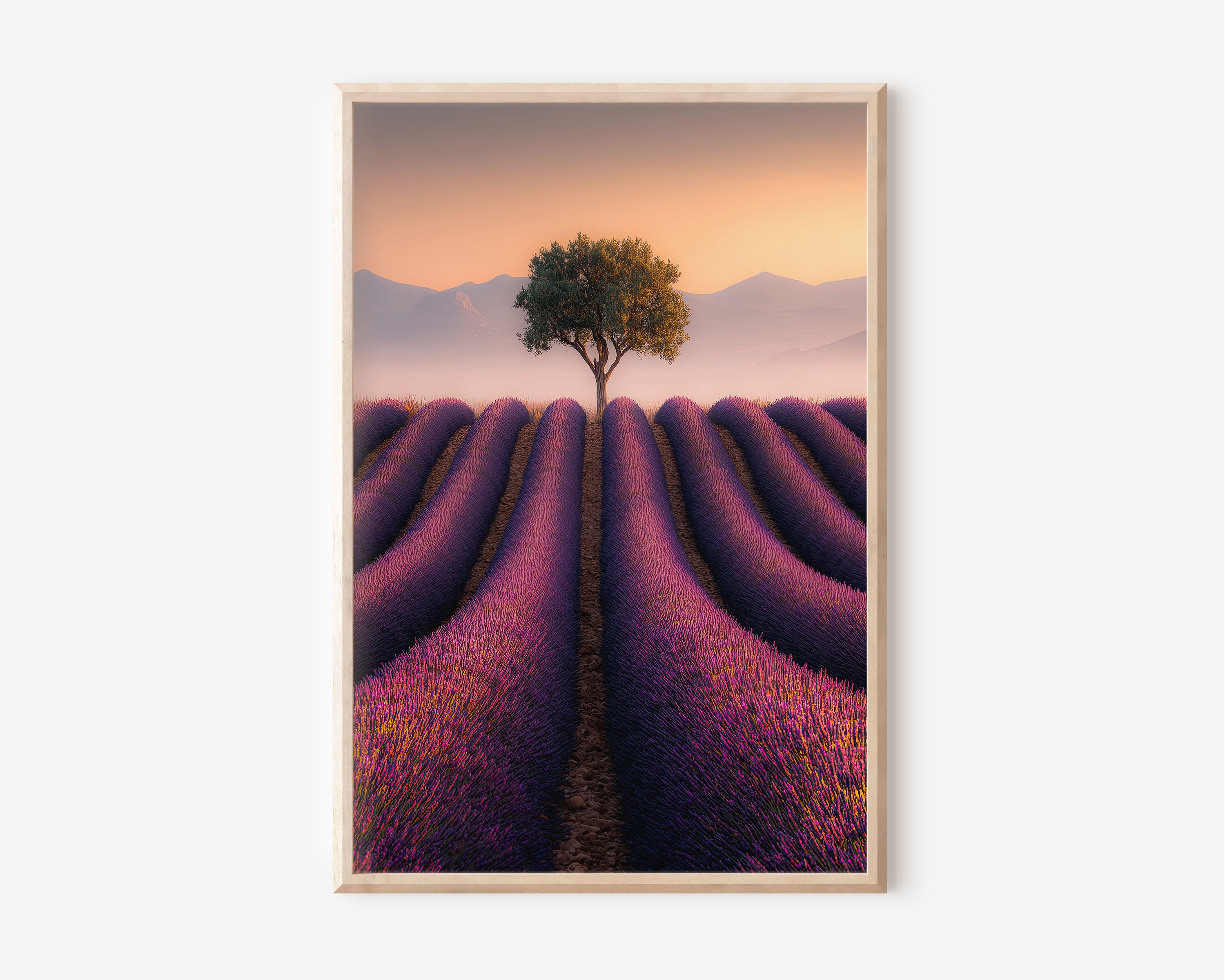 Valensole Lavender Sunset Print | Provence Lone Tree Wall Art | Purple Lavender Field Photography