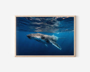 Whale Wall Art – Underwater Marine Photography Print