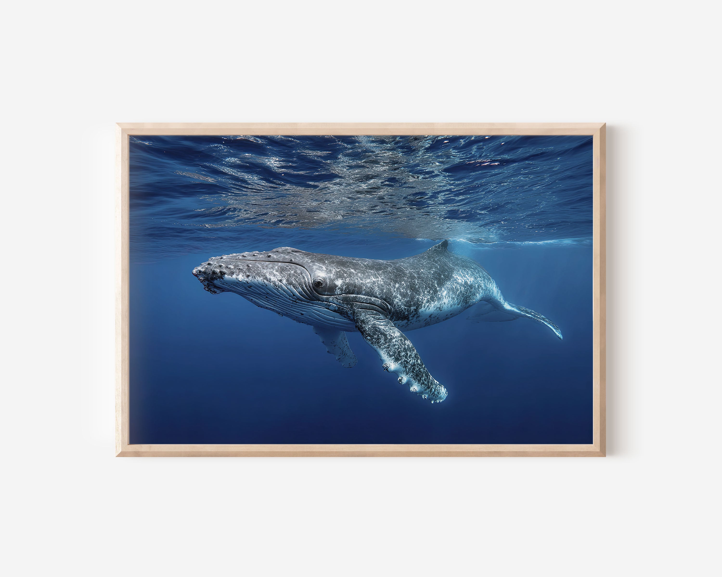 Whale Wall Art Print – Underwater Ocean Photography Canvas