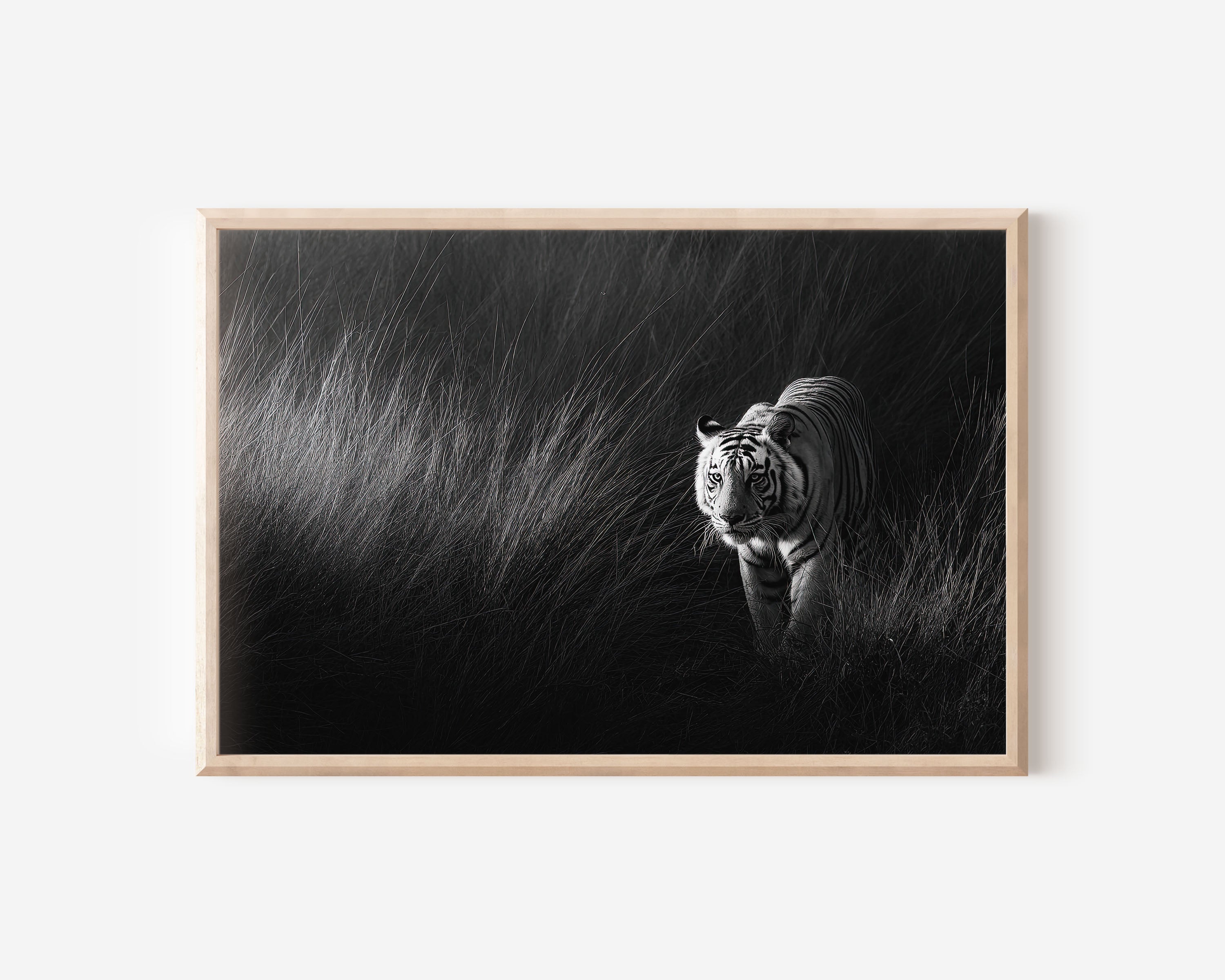 White Tiger Black & White Wildlife Wall Art