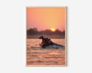 Hippo Sunset Wall Art Print – African Wildlife Canvas, Dramatic River Safari Decor