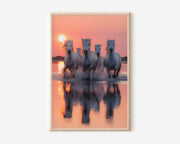 White Horses Sunset Wall Art Print – Running Horses Canvas & Framed Dramatic Nature Decor