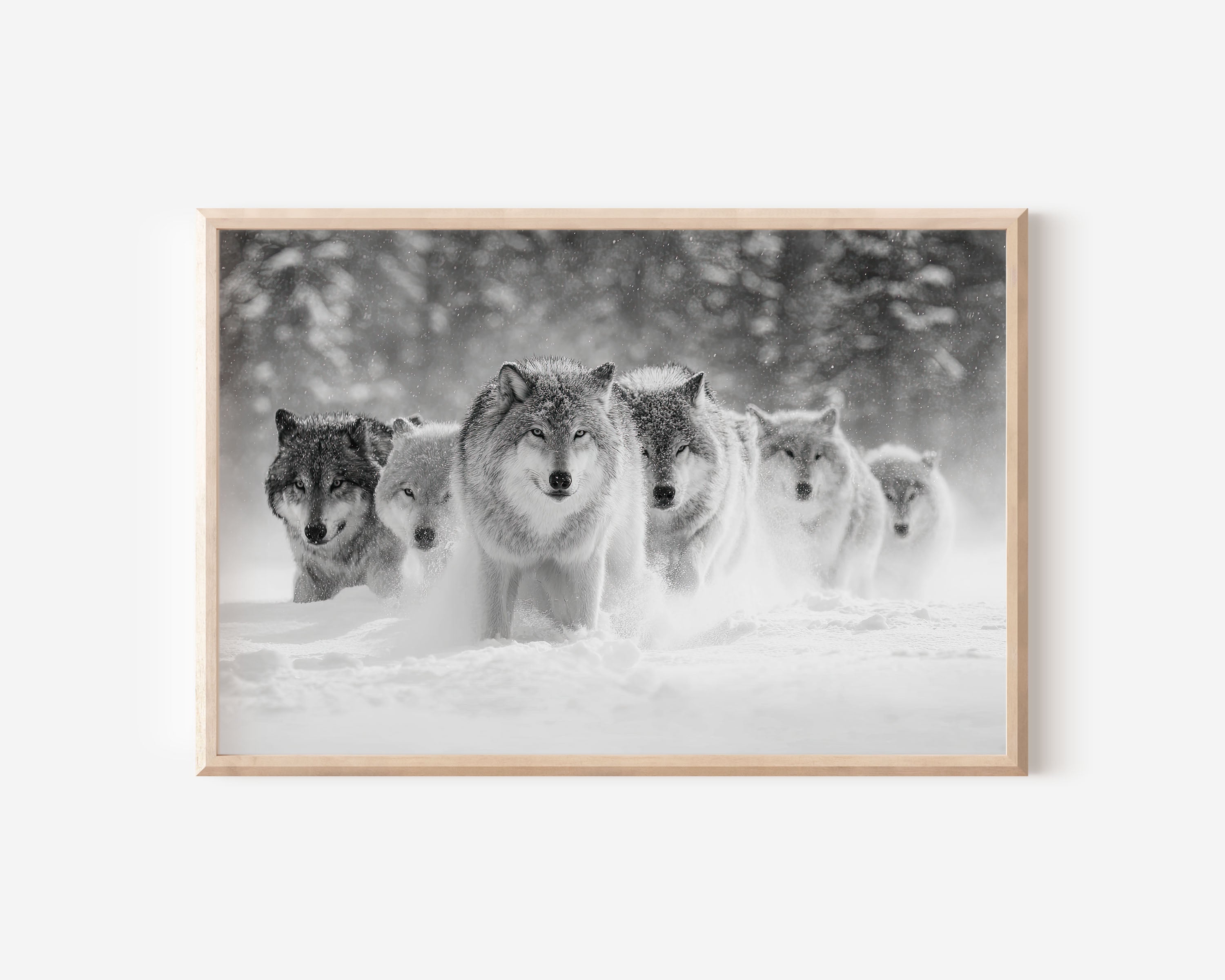 Wolf Pack Black and White Wall Art Print – Snow Wildlife Canvas