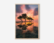 Yala Beach Sunset Wall Art Print | Sri Lanka Tropical Photography | Mangrove Tree Reflection Poster