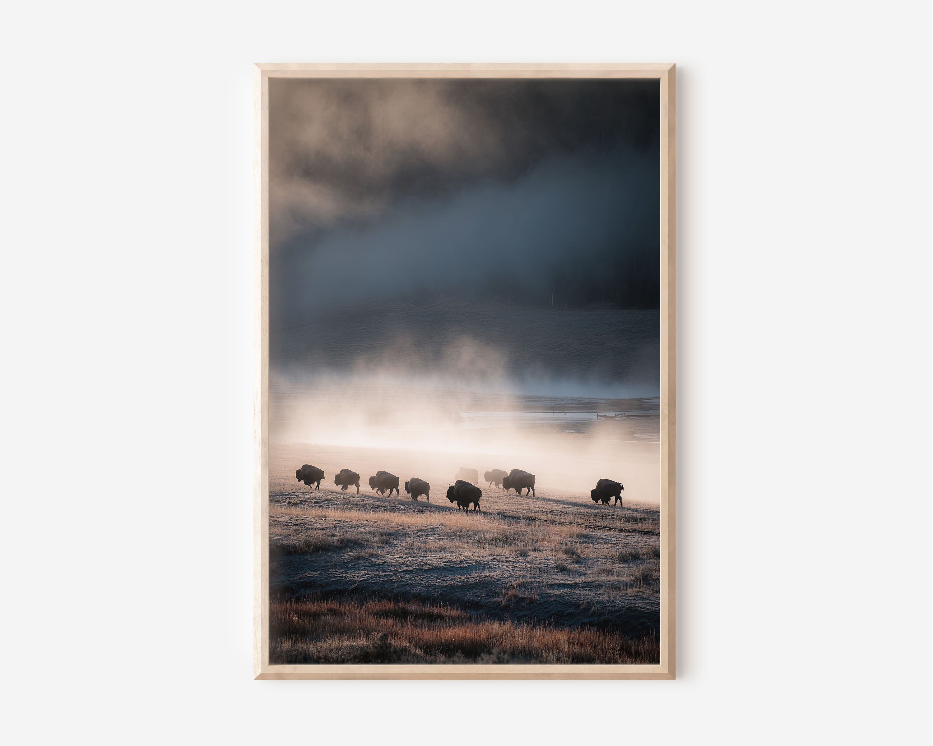Yellowstone Bison Herd Mist Wall Art Print | Wyoming Wildlife Photography | Moody Landscape Poster | American West Nature Print | Dark Dramatic Home Decor
