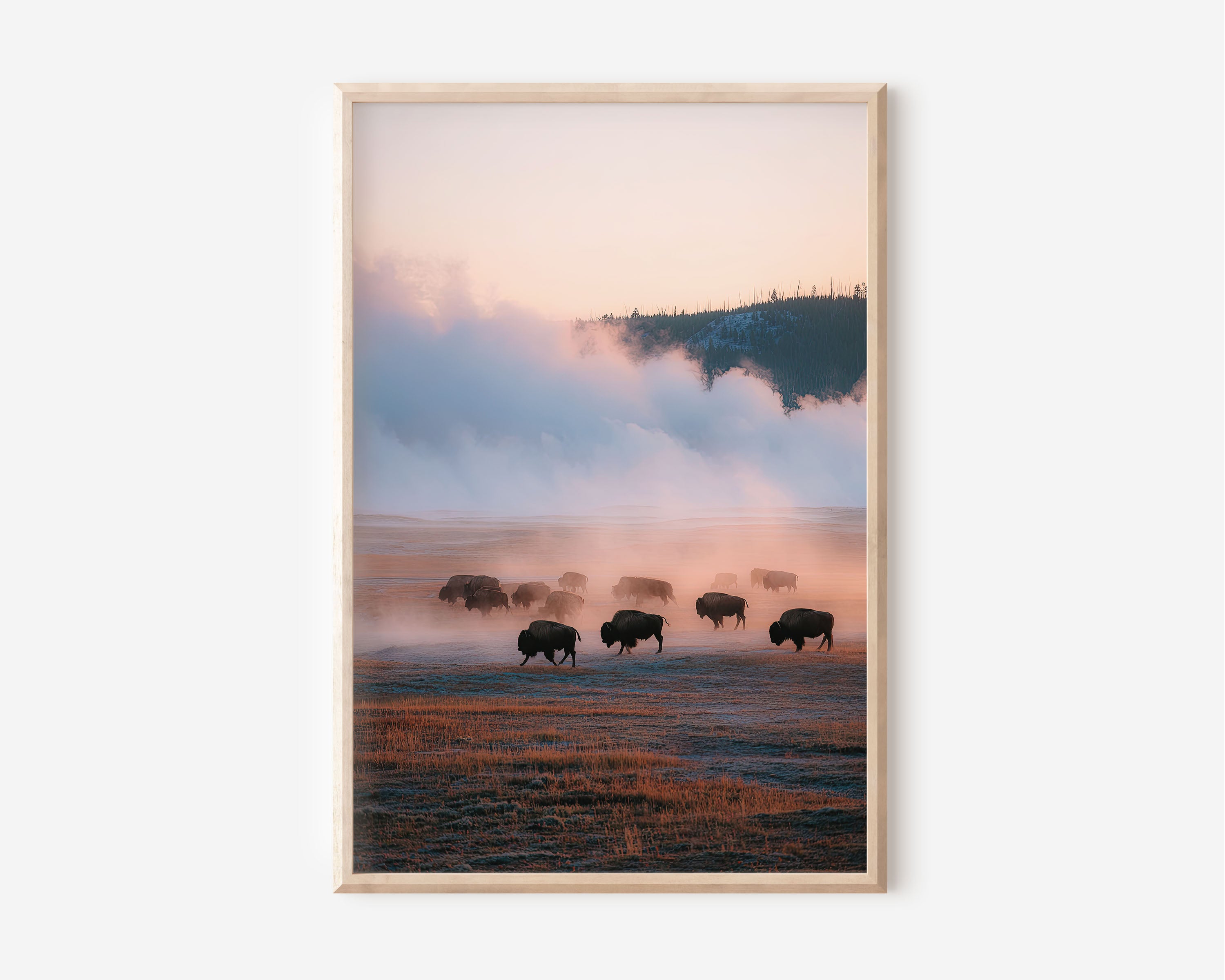 Yellowstone Bison Herd Wall Art Print | Wyoming Wildlife Photography | Geothermal Mist Landscape Poster | National Park Nature Print | American West Decor
