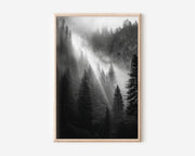 Yosemite Forest Light Rays Wall Art Print | Black & White Fog & Mist Photography | Valley Light Beams Poster | California Nature Print | Moody Forest Home Decor