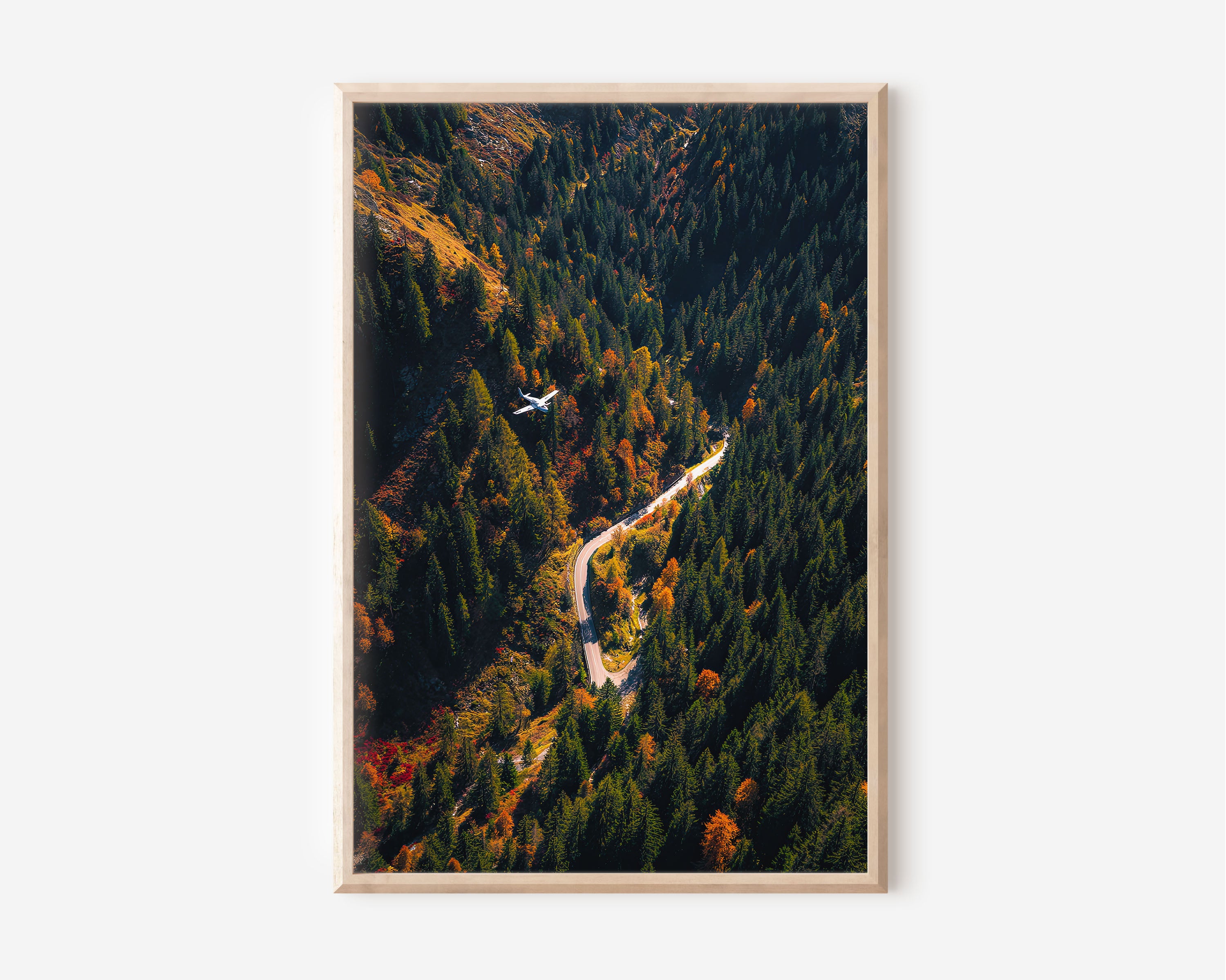 Aerial Autumn Alpine Road Small Plane Wall Art Print | European Mountain Forest Photography | Overhead Winding Road Poster