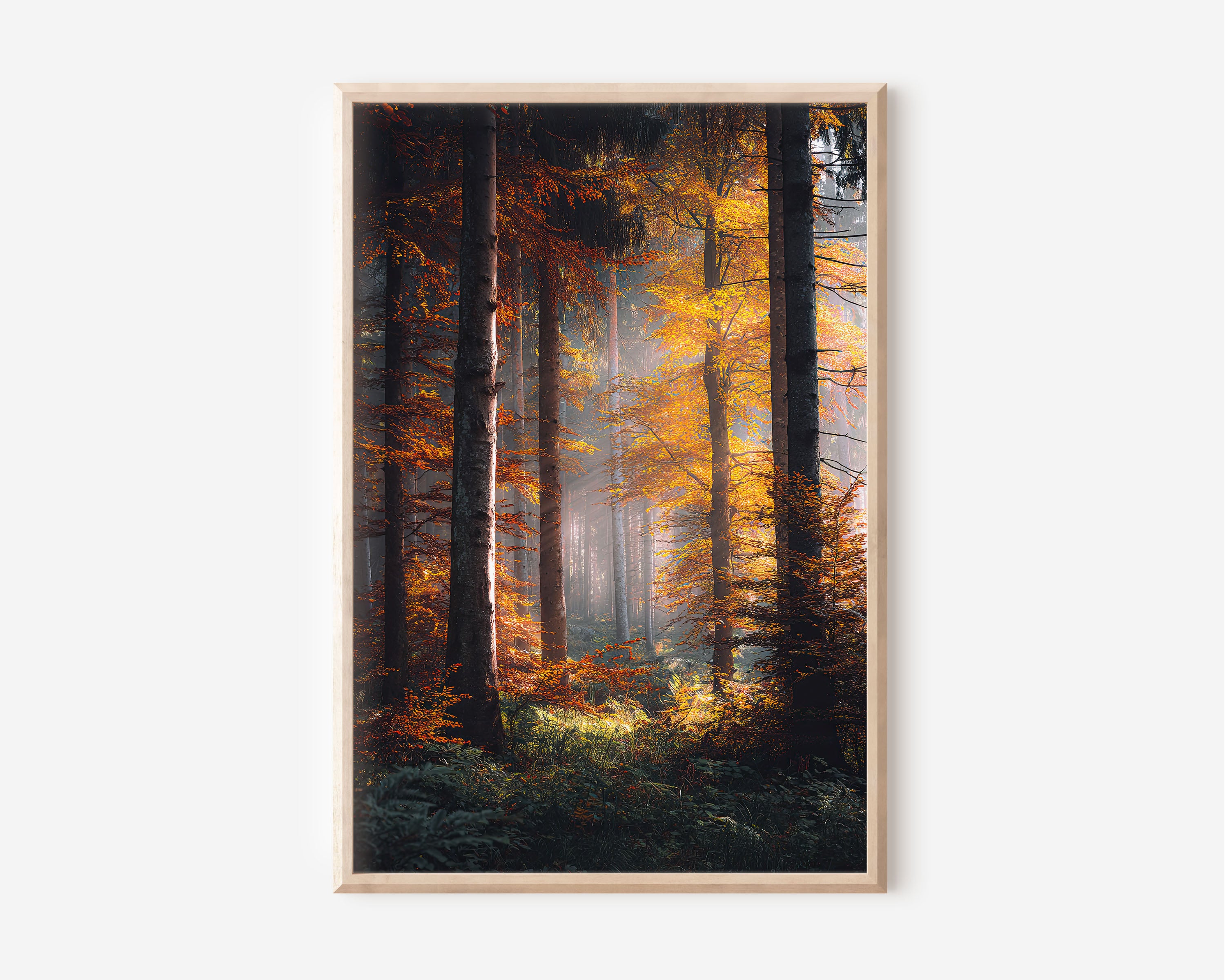 Autumn Forest Sunbeam Print | Golden Fall Woodland Wall Art | Misty Forest Light Photography