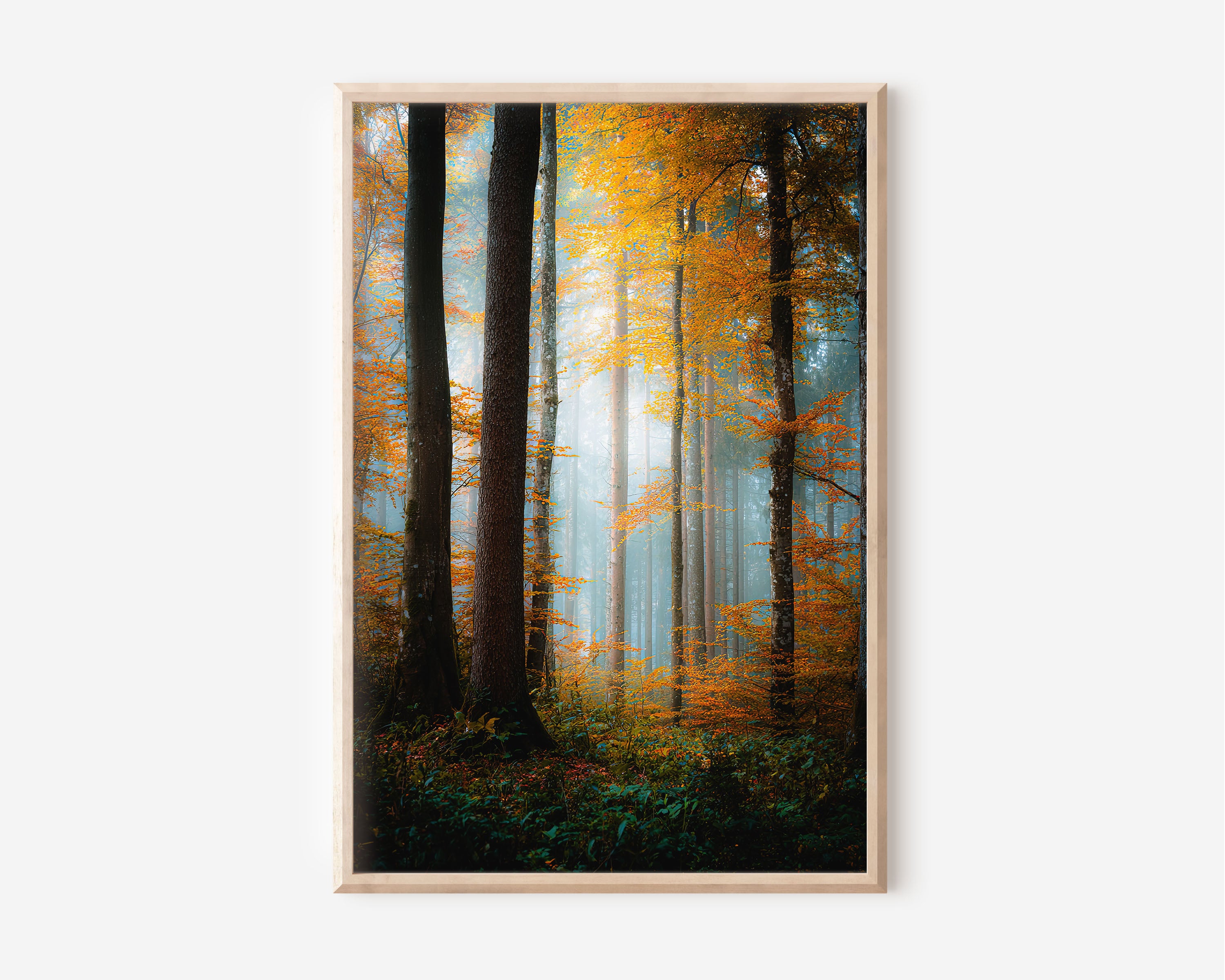Misty Autumn Forest Print | Golden Fall Woodland Fog Wall Art | European Forest Photography