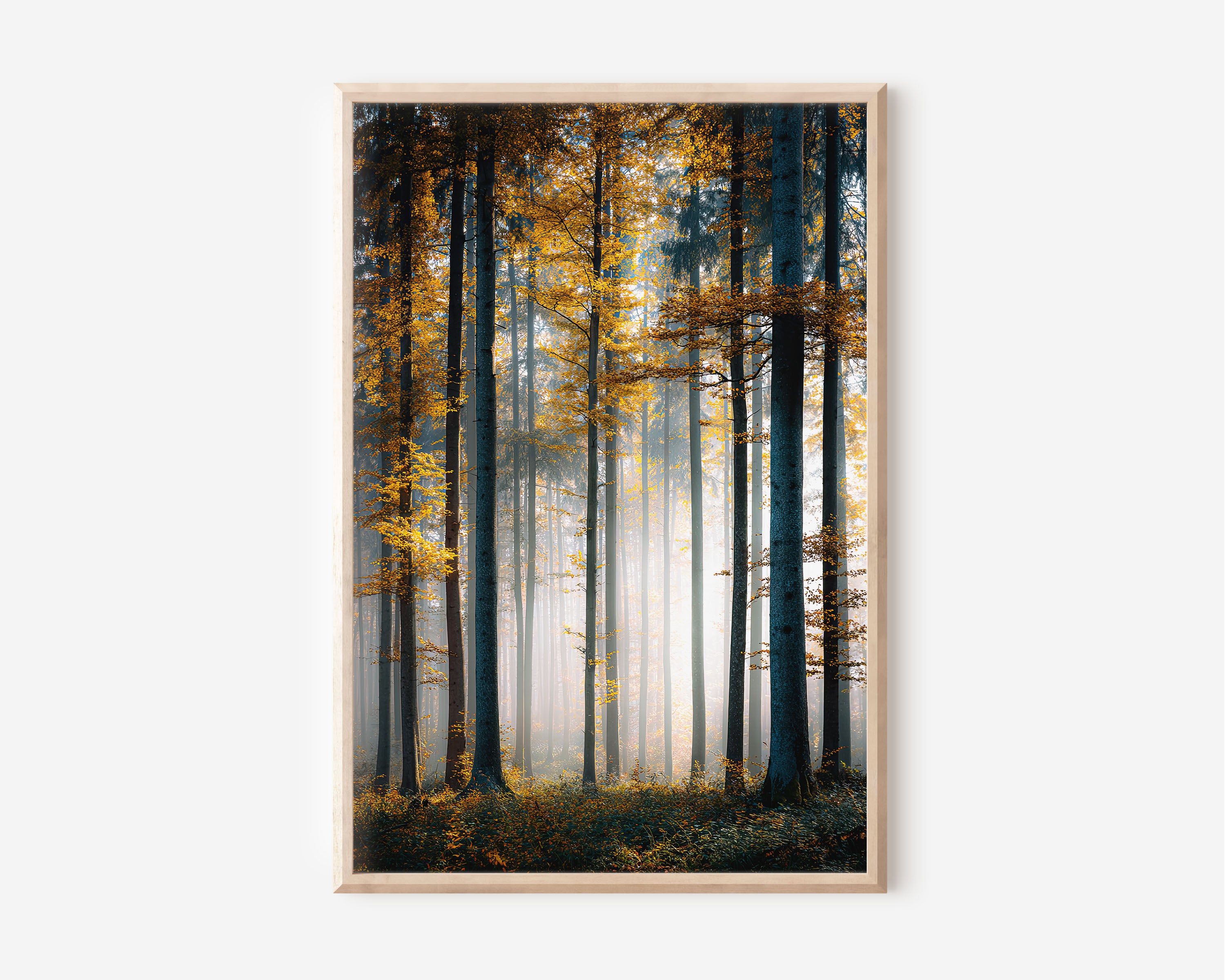 Autumn Beech Forest Mist Print | Tall Trees Golden Fog Wall Art | Fall Woodland Photography