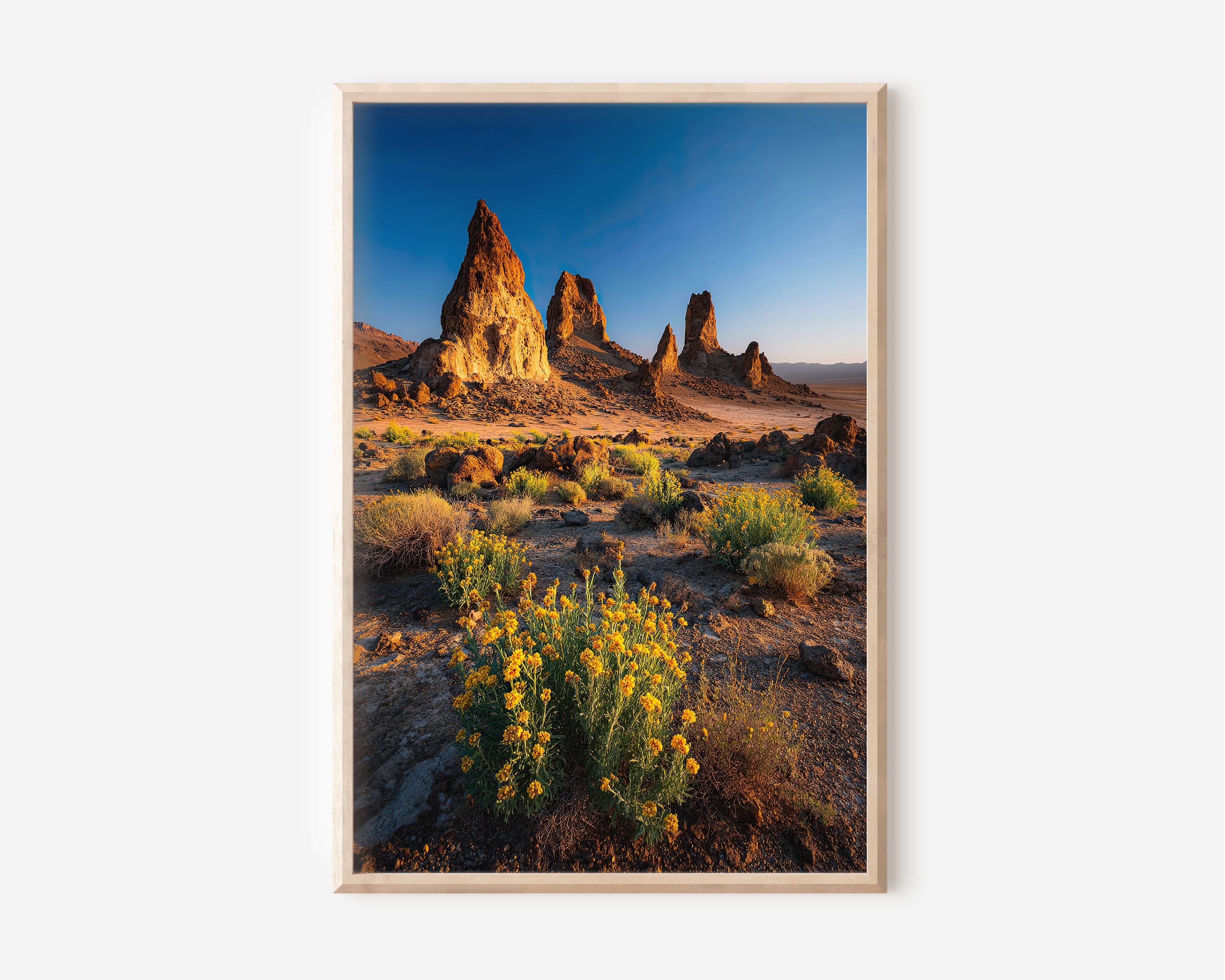 Trona Pinnacles Desert Wildflowers Print | California Desert Wall Art | Mojave Rock Spires Landscape Photography Poster