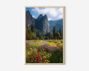 Yosemite Wildflower Meadow Print | Mountain Landscape Wall Art | Spring Flowers Nature Photography