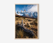 Mount Fitz Roy Autumn Driftwood Print | Patagonia Fall Landscape Wall Art | El Chaltén Golden Grasslands Photography Poster