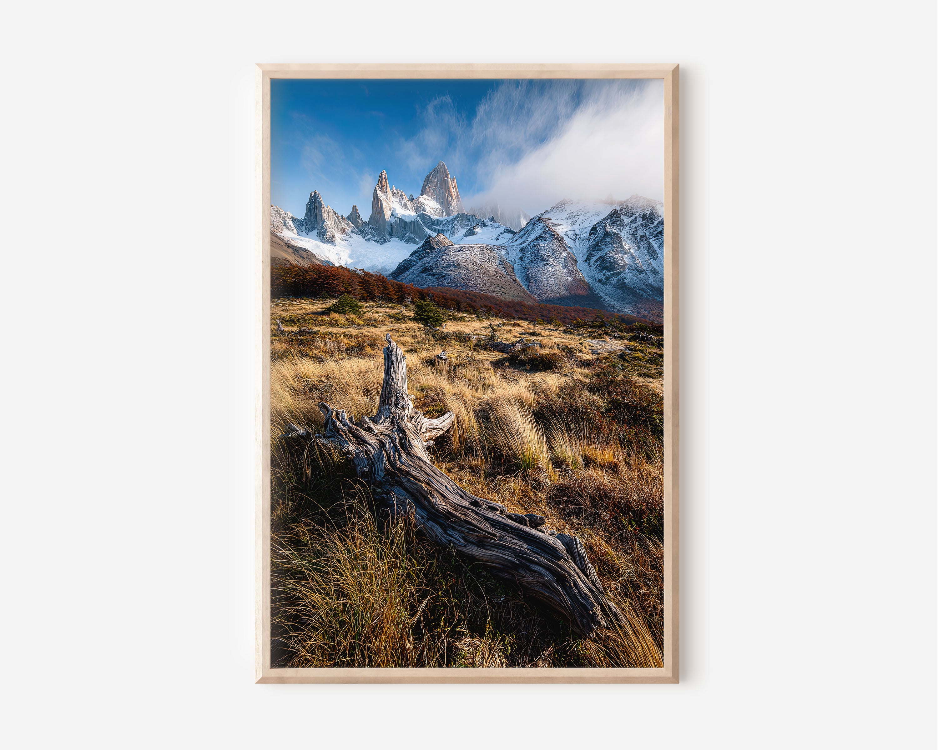 Mount Fitz Roy Autumn Driftwood Print | Patagonia Fall Landscape Wall Art | El Chaltén Golden Grasslands Photography Poster