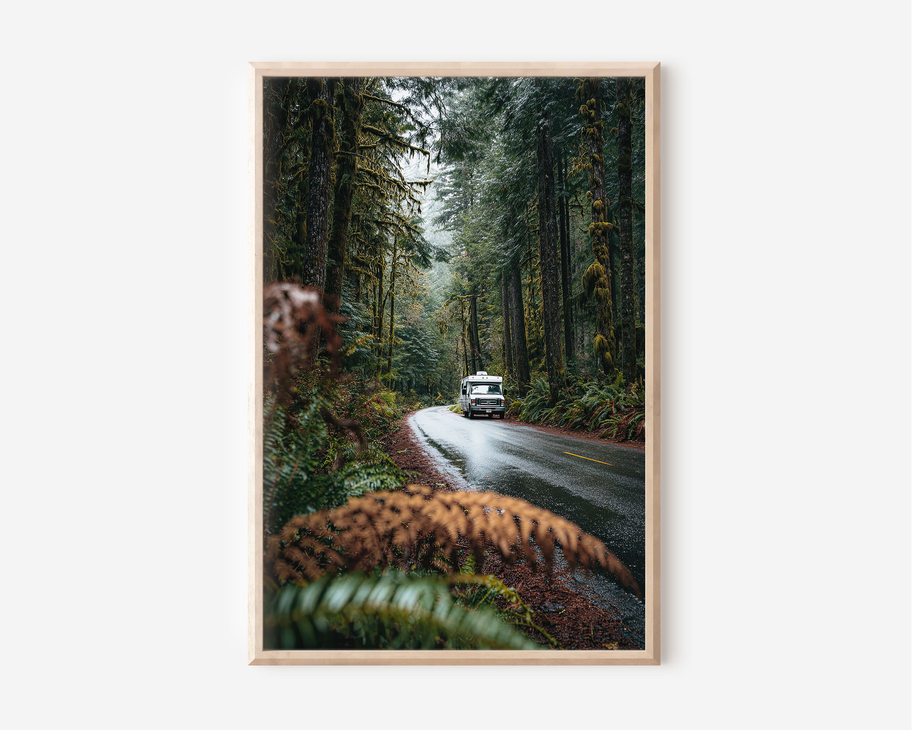 Olympic National Park Rainforest Road Trip Print | Pacific Northwest Forest Wall Art | Hoh Rainforest RV Campervan Forest Road Photography Poster