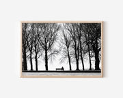 Solitary Figure on Park Bench Among Bare Winter Trees | Black & White Fine Art Print