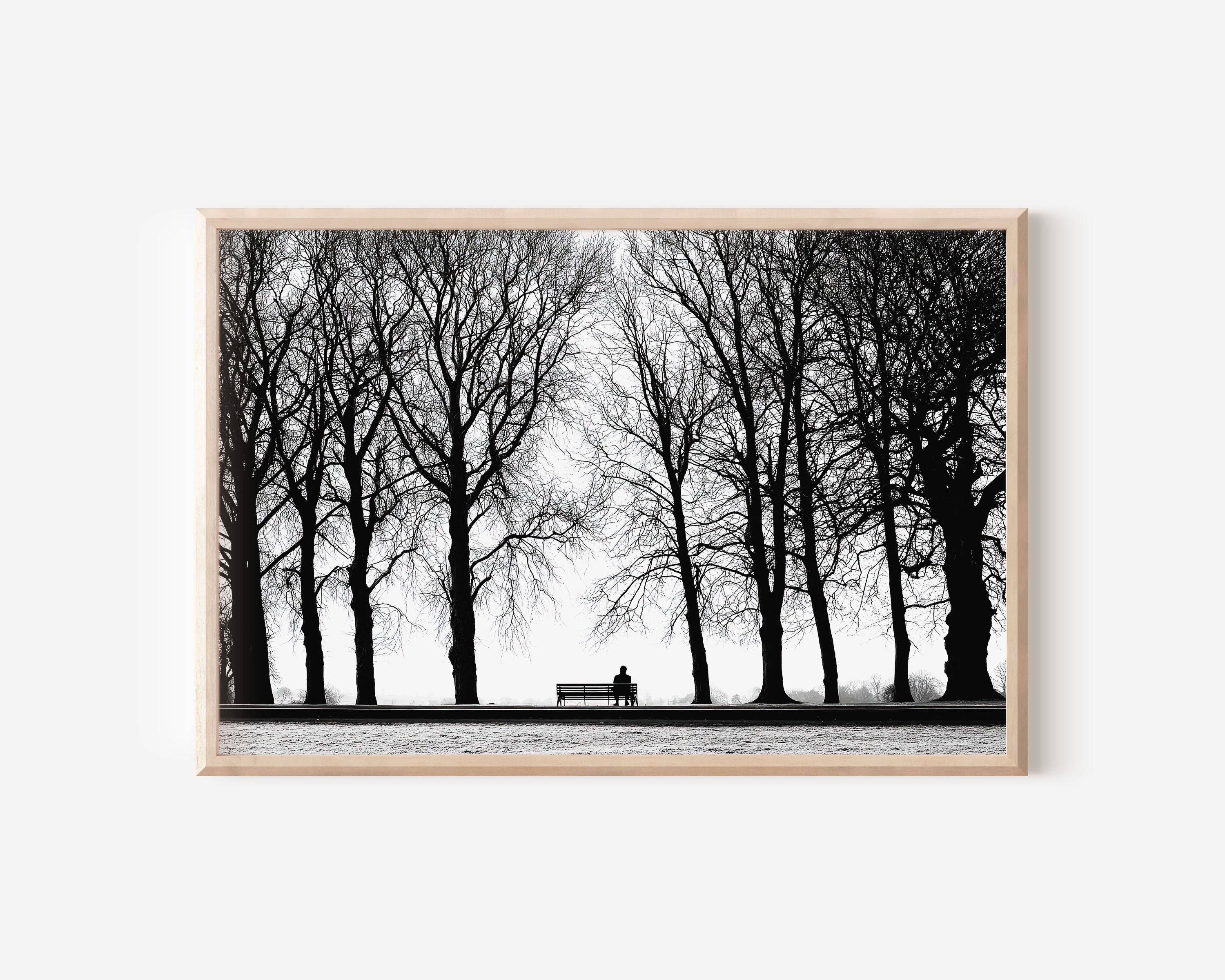 Solitary Figure on Park Bench Among Bare Winter Trees | Black & White Fine Art Print