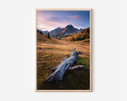 Dolomites Autumn Alpine Meadow Print | Italian Alps Fall Landscape Wall Art | Alpine Valley Driftwood Larch Sunset Photography Poster