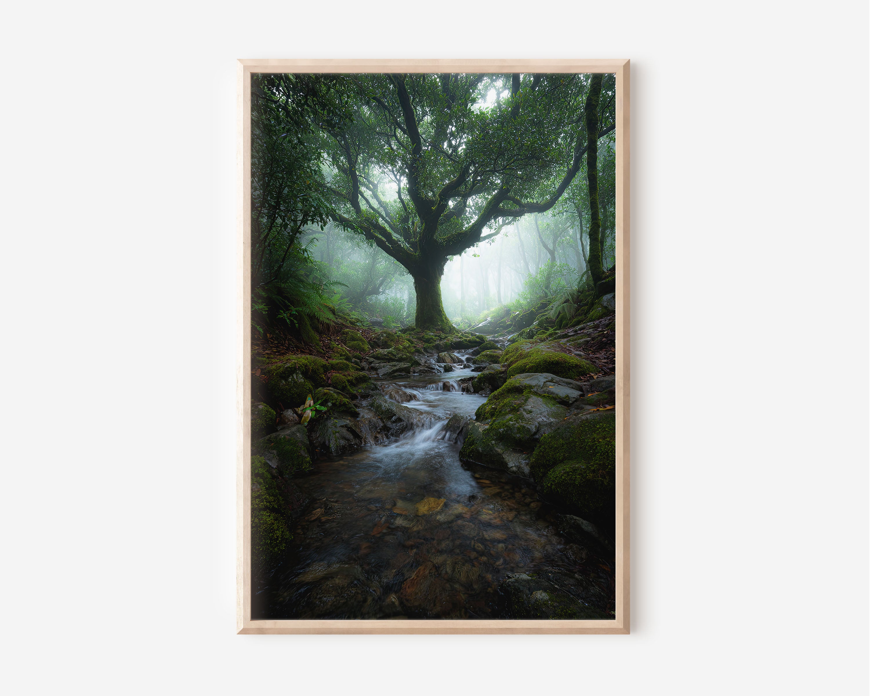 Enchanted Misty Forest Stream Print | Mystical Ancient Tree Wall Art | Tropical Rainforest Moss Rock Creek Landscape Photography Poster