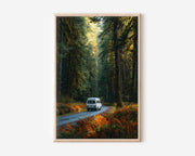 Pacific Northwest Van Life Forest Road Print | Olympic National Park Campervan Wall Art | PNW Autumn Fern Forest Road Trip Photography Poster