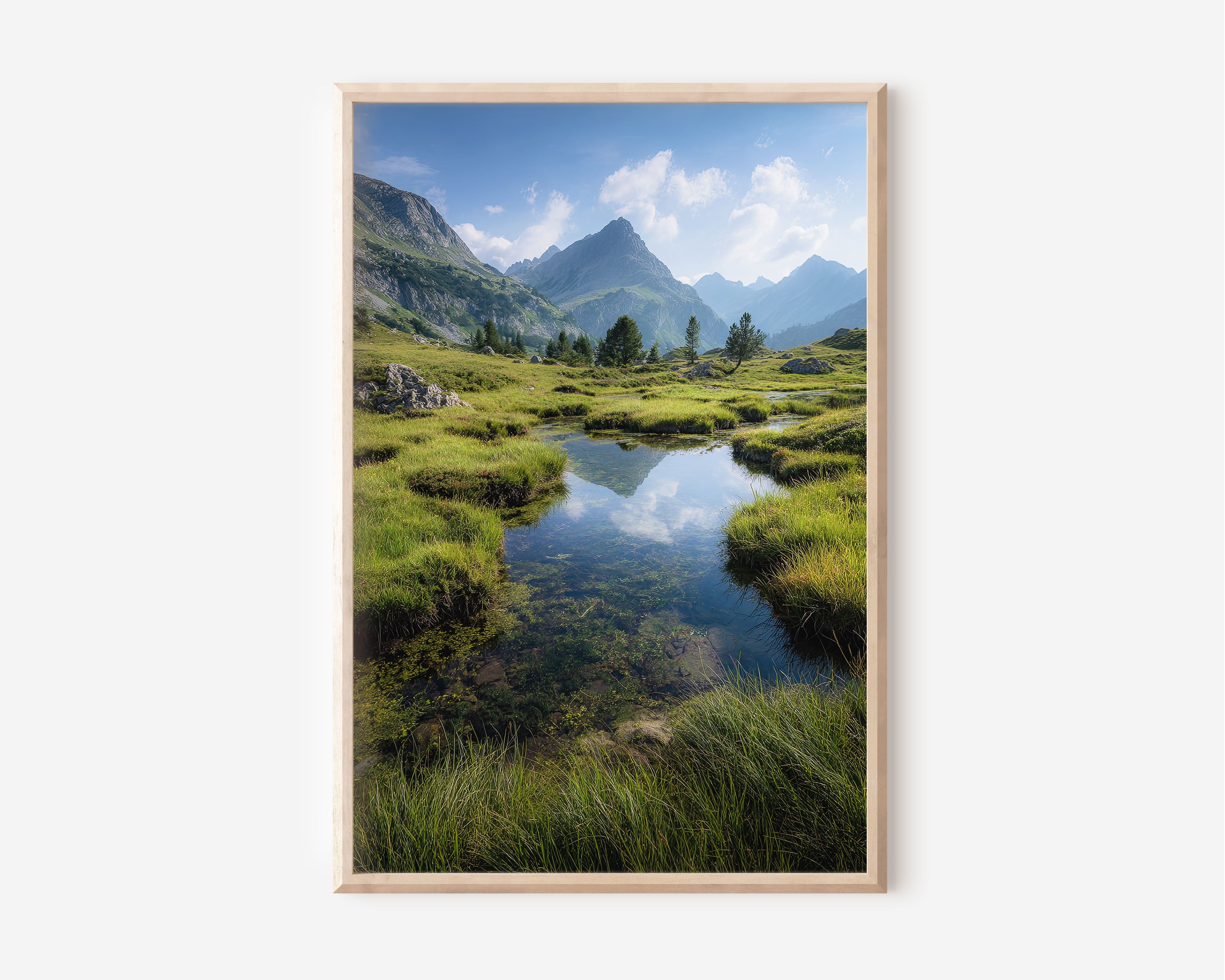 Alpine Meadow Print | Mountain Wetland Wall Art | Swiss Alps Summer Landscape | Green Nature Photography Poster