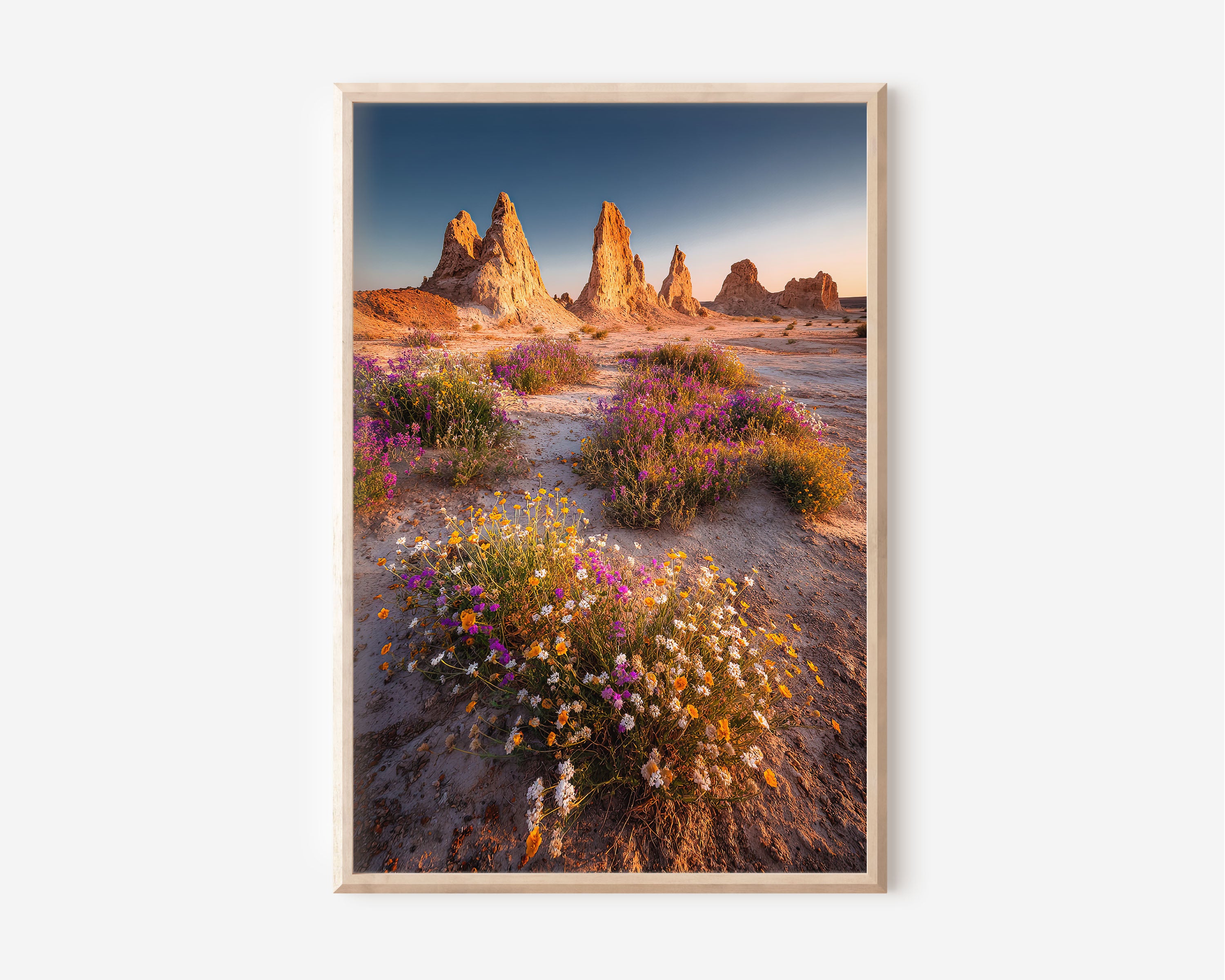 Trona Pinnacles Desert Wildflower Bloom Print | Mojave Desert Super Bloom Wall Art | California Desert Wildflowers Landscape Photography Poster