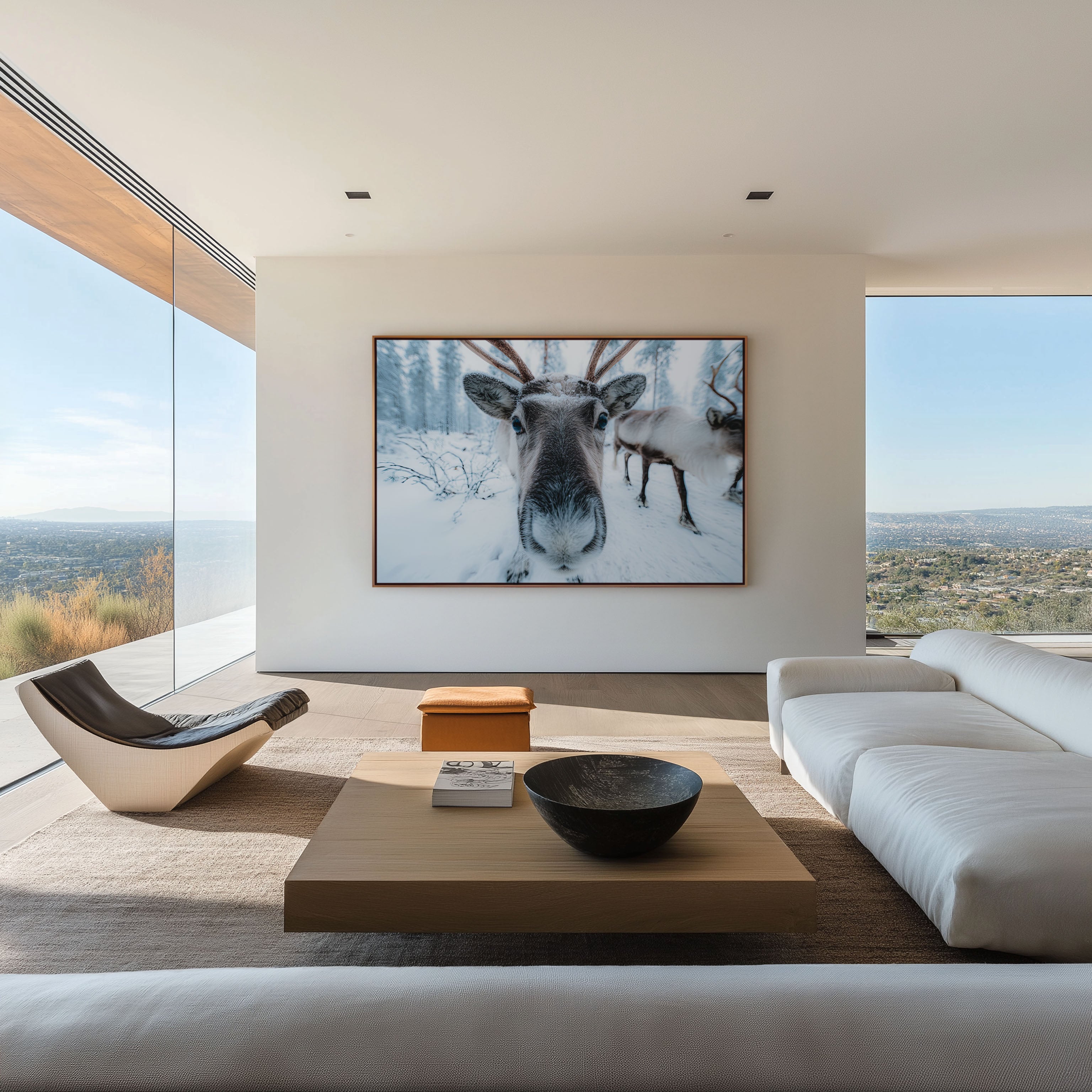 Lapland Reindeer Wall Art Print – Arctic Wildlife Photography