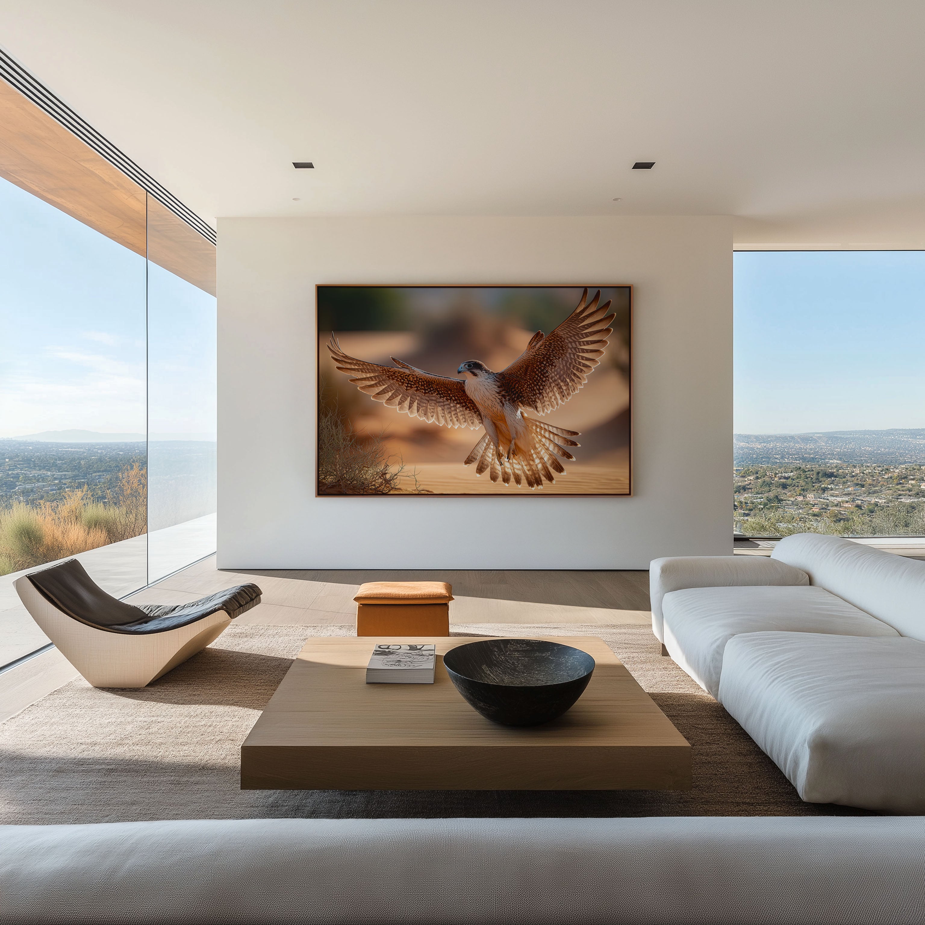 Desert Falcon Wall Art – Dubai Wildlife Photography Print