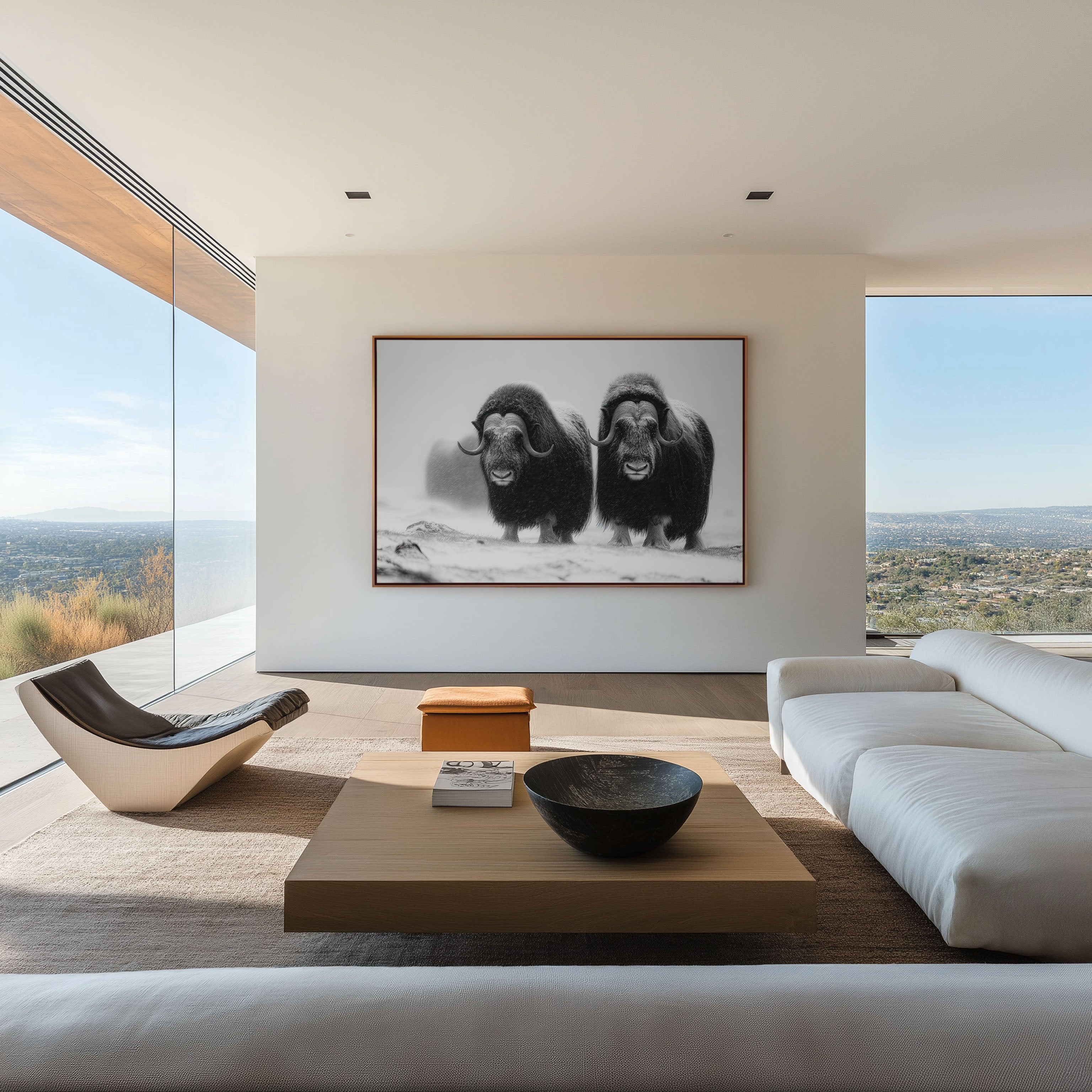 Musk Ox Pair Black & White Wildlife Wall Art Print