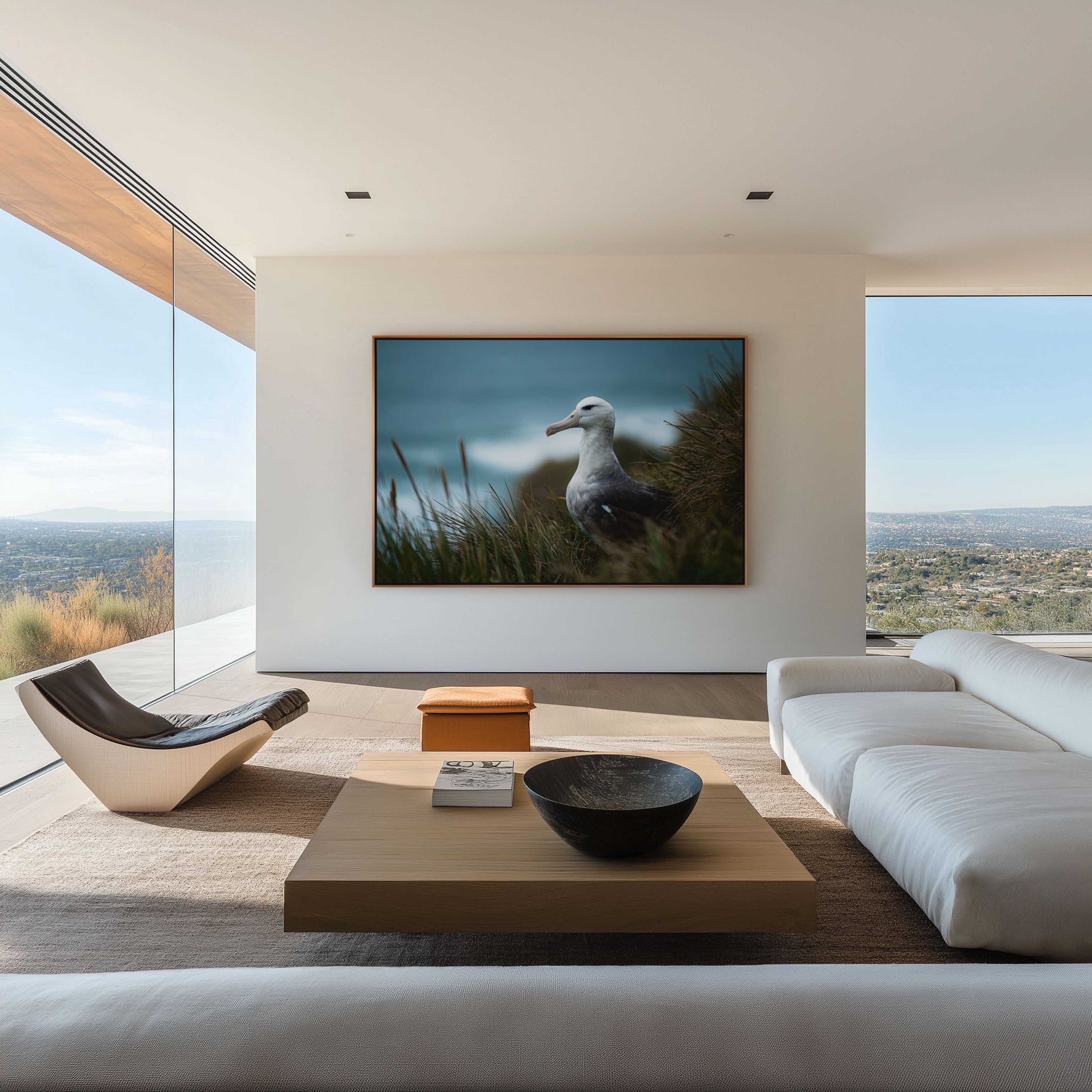 Albatross Wall Art – New Zealand Coastal Bird Print
