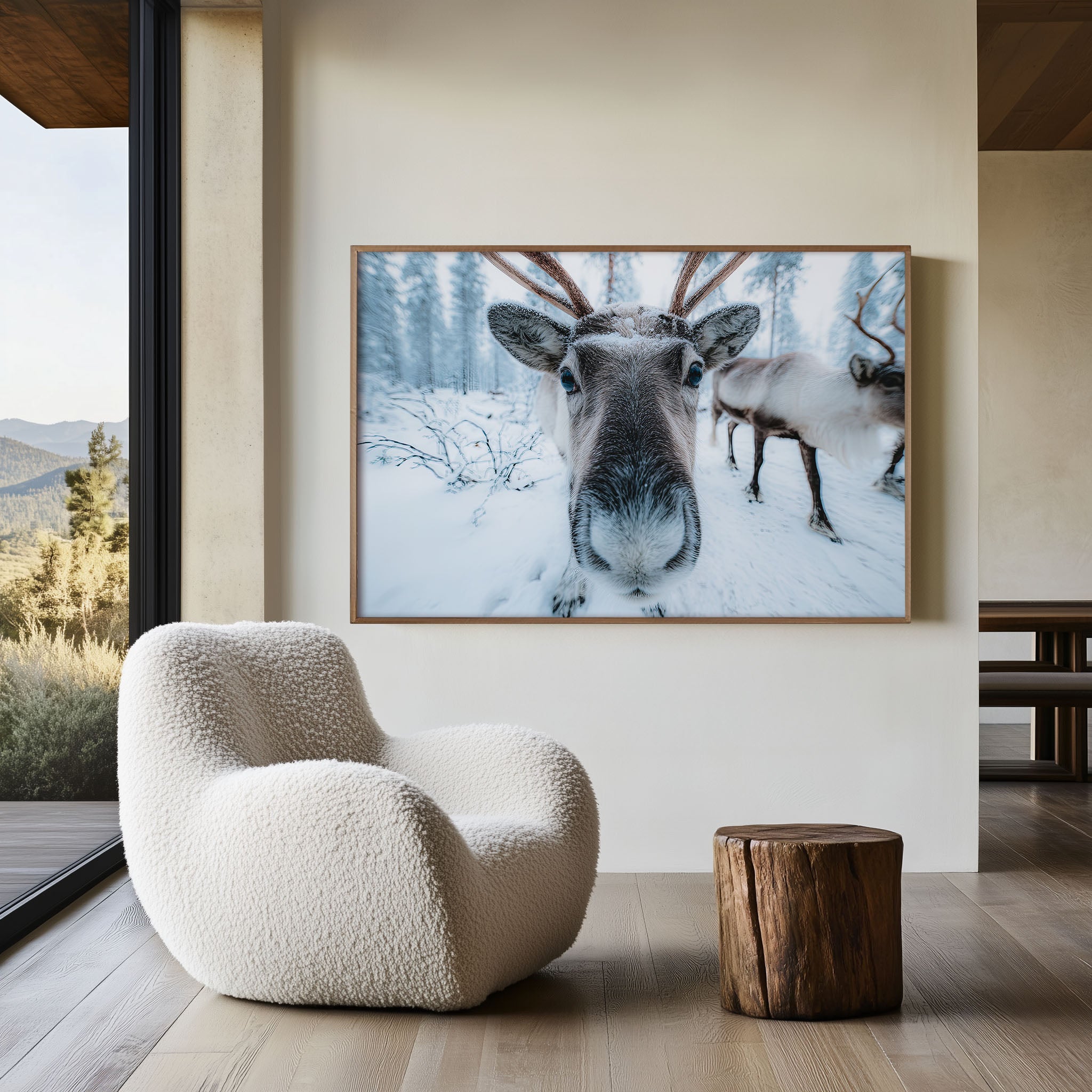 Lapland Reindeer Wall Art Print – Arctic Wildlife Photography