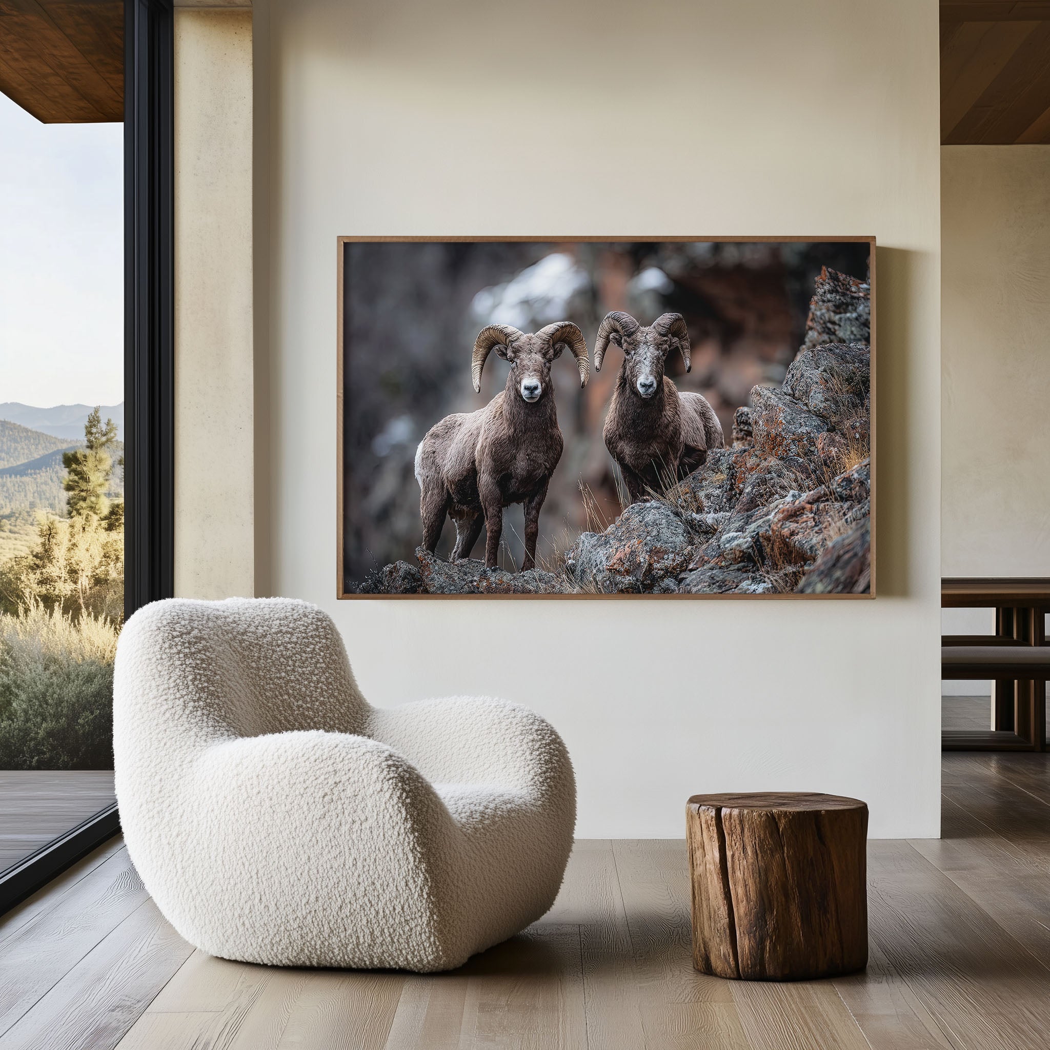 Bighorn Sheep Wall Art – Rocky Mountain Wildlife Photography Print