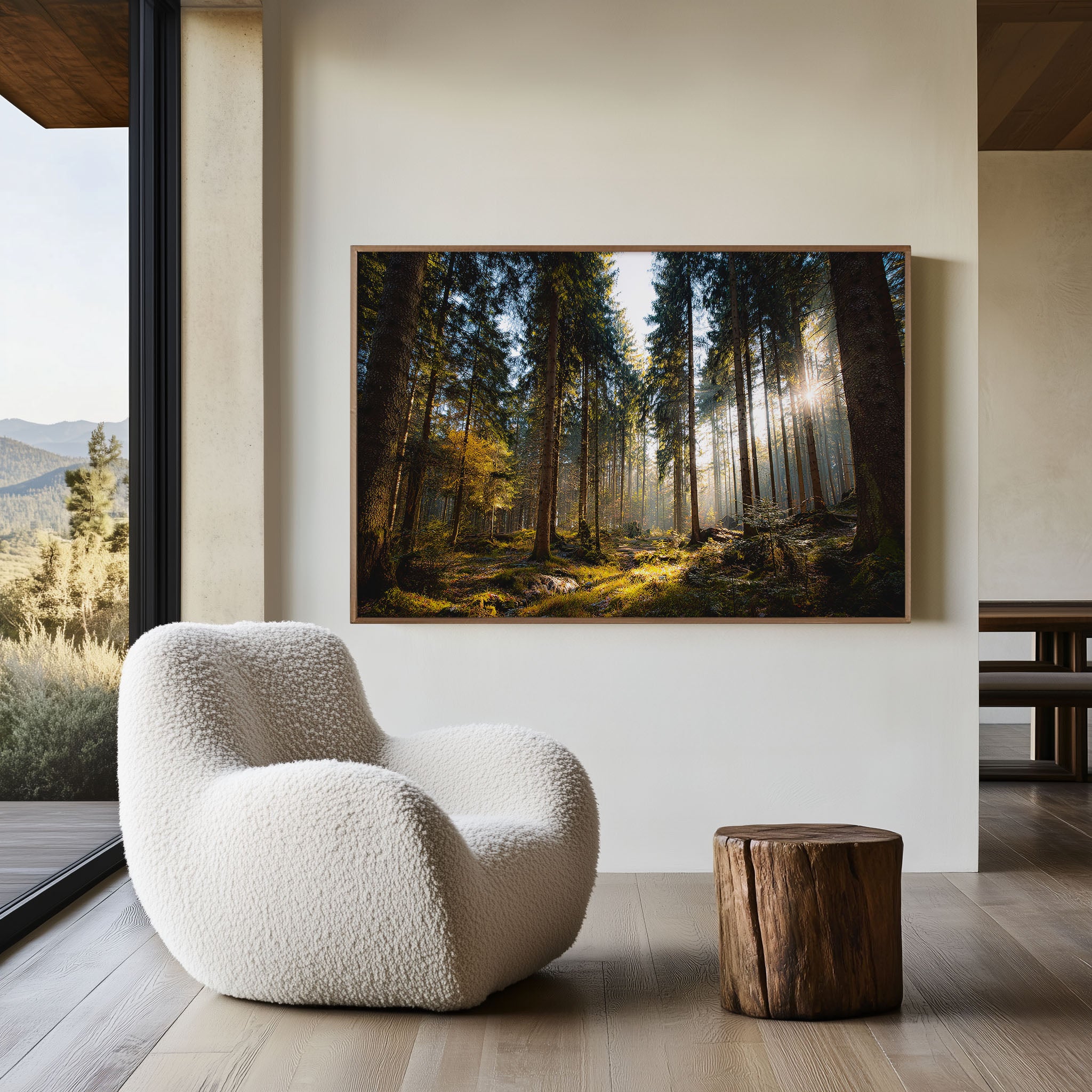 Black Forest Germany Sunlight Wall Art Print – Enchanted Woodland Canvas