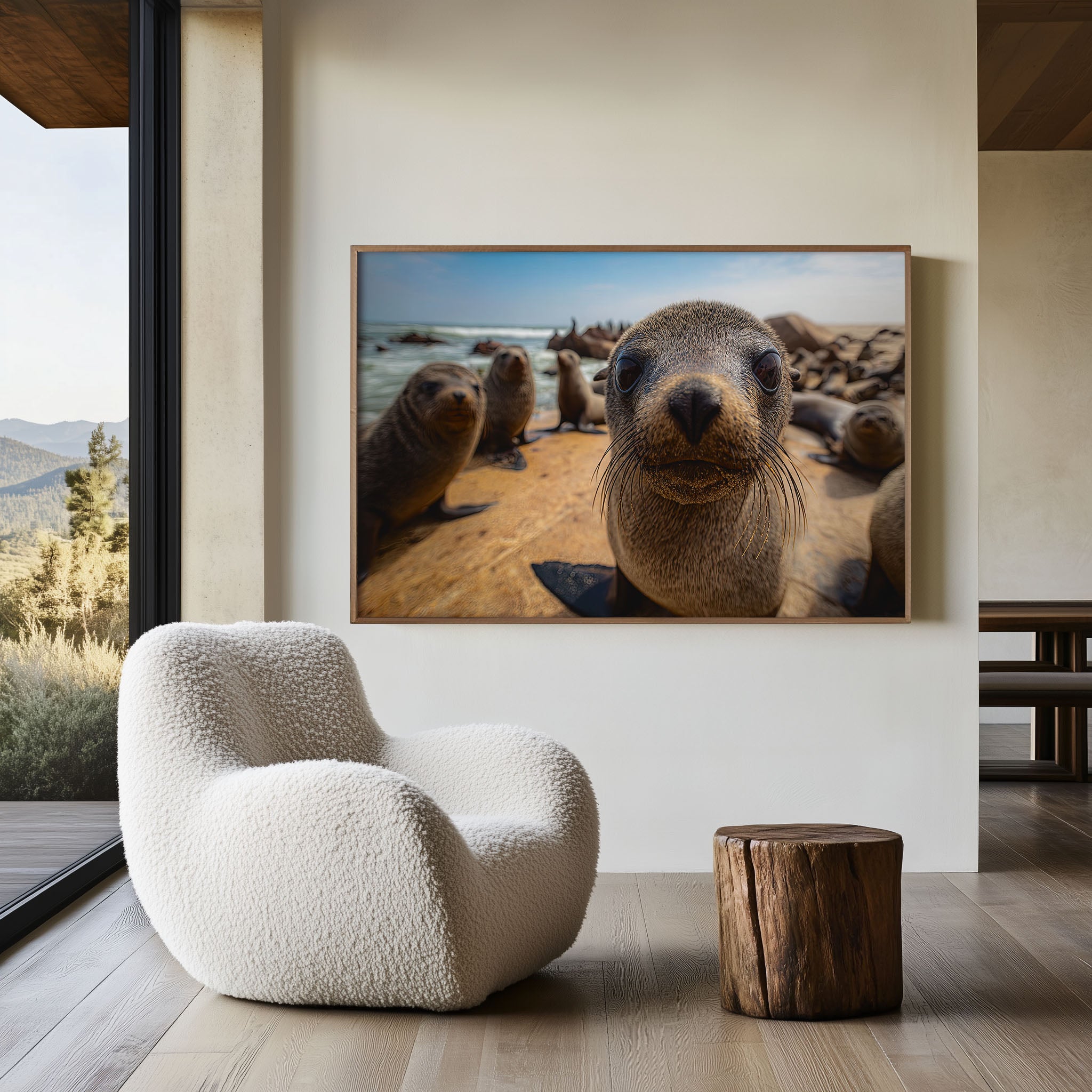 Cape Cross Seals Wall Art – Coastal Wildlife Photography