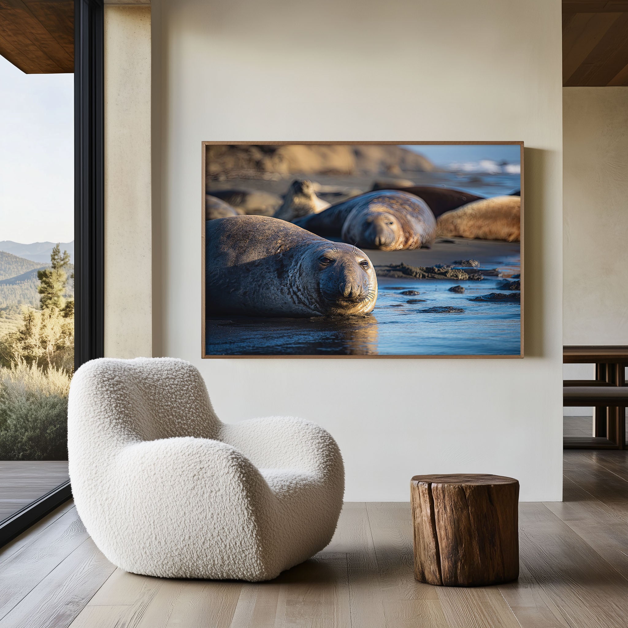Elephant Seals Beach Wall Art – Coastal Ocean Wildlife Photography Print